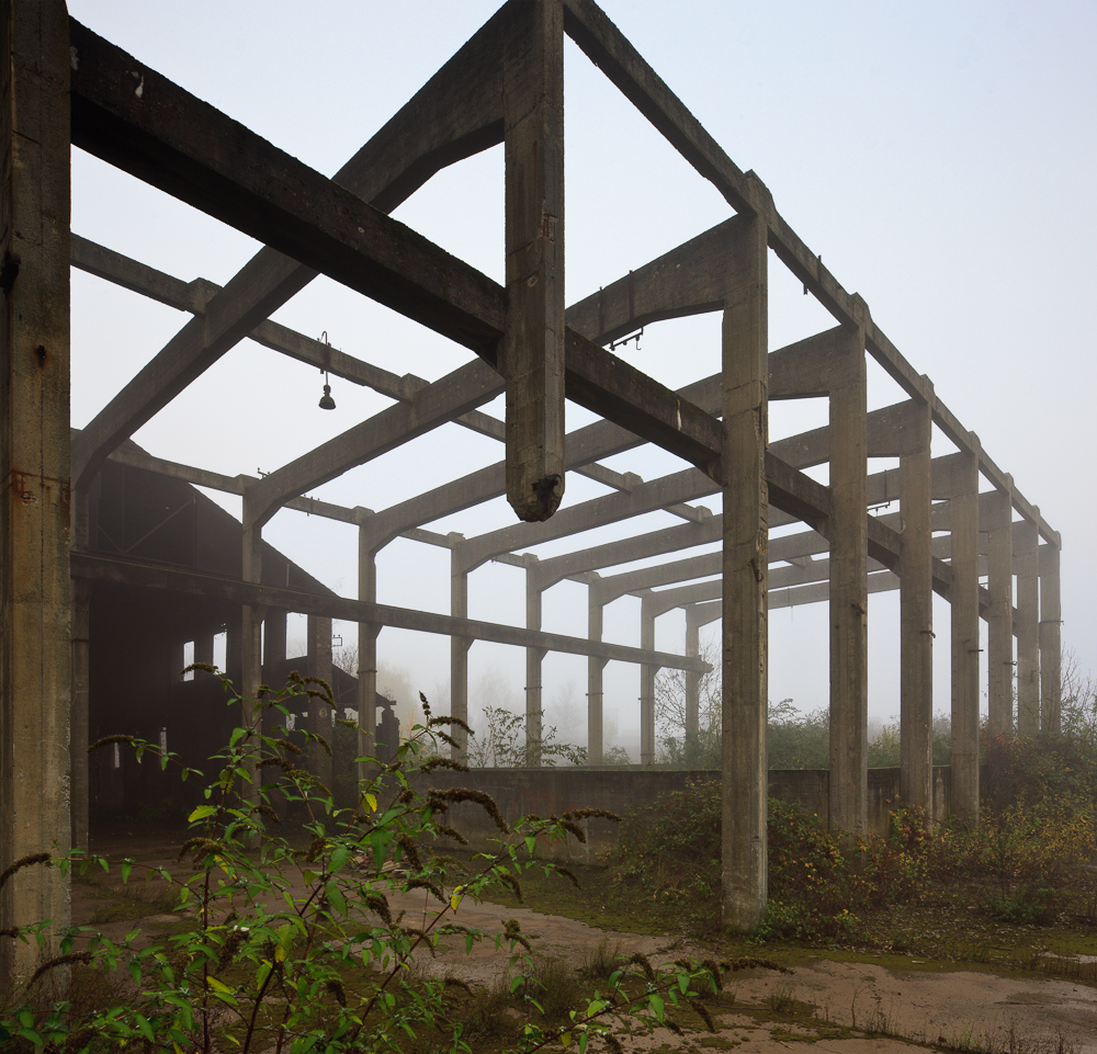 steps in the fog