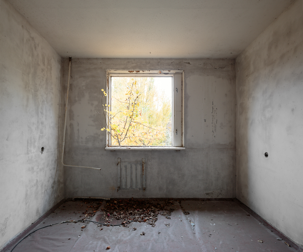 Intruding tree and central heating tube (Aspect ratio 1,20x1)